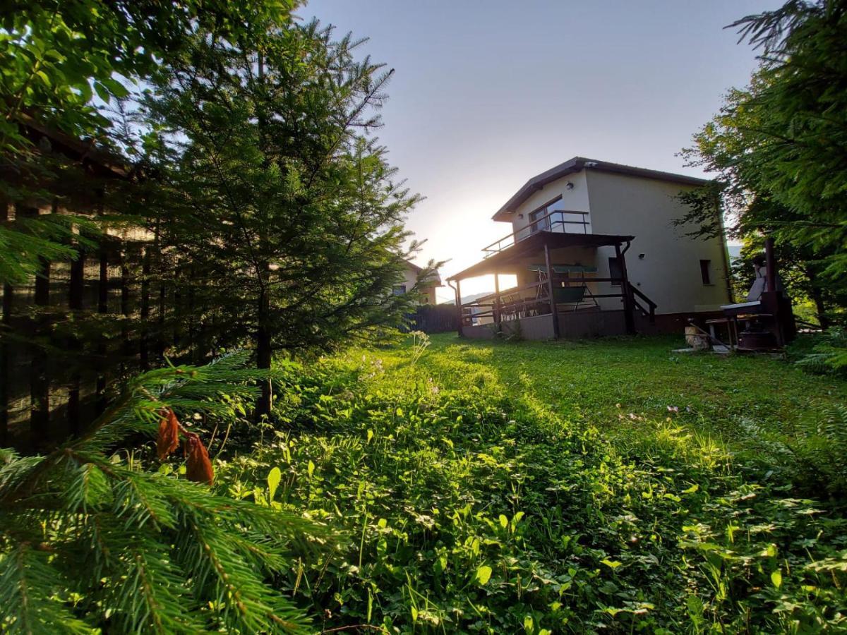 C House Villa Szászbuda Kültér fotó