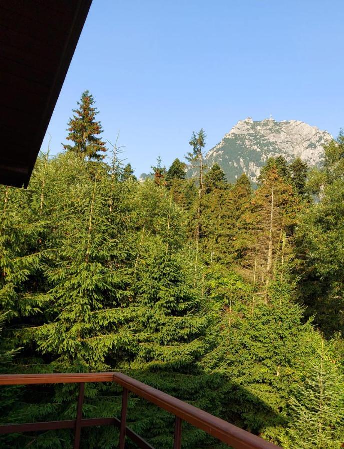 C House Villa Szászbuda Kültér fotó